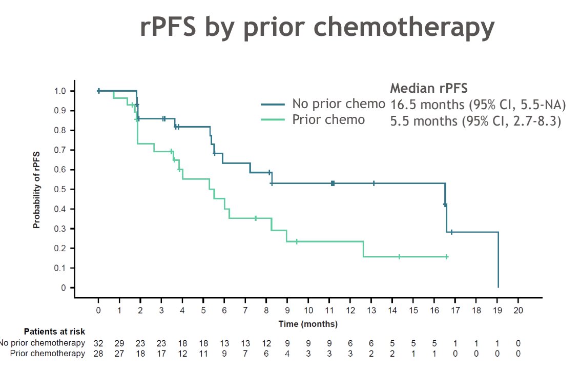 Patients with (n = 28) versus without (n = 32) prior chemotherapy had median radiographic progression free survival of 5.5 versus 16.5 months, respectively