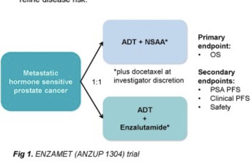 ENZAMET