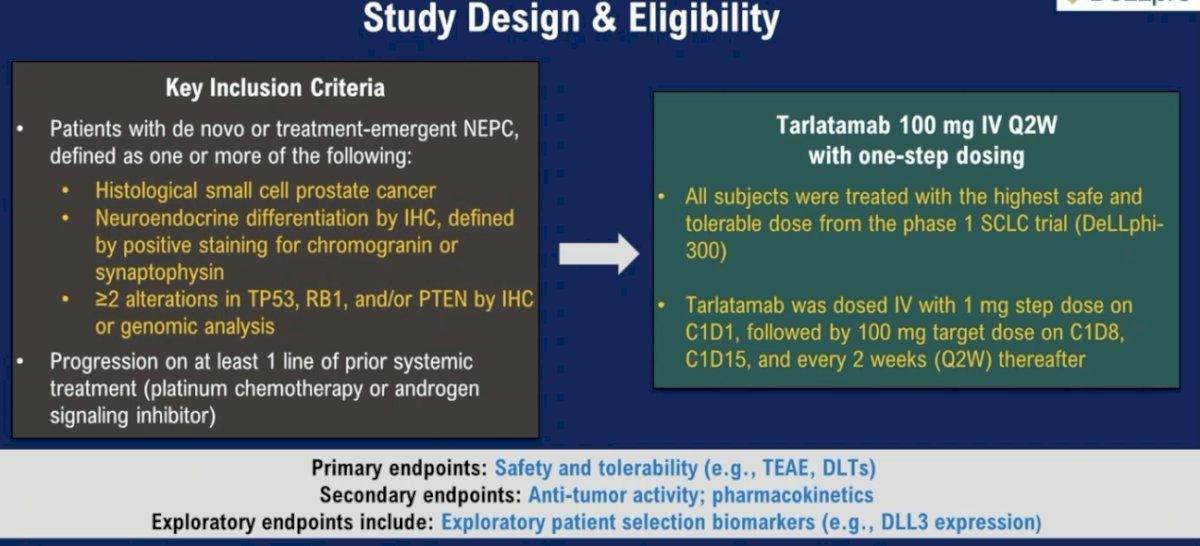 tarlatamab study design