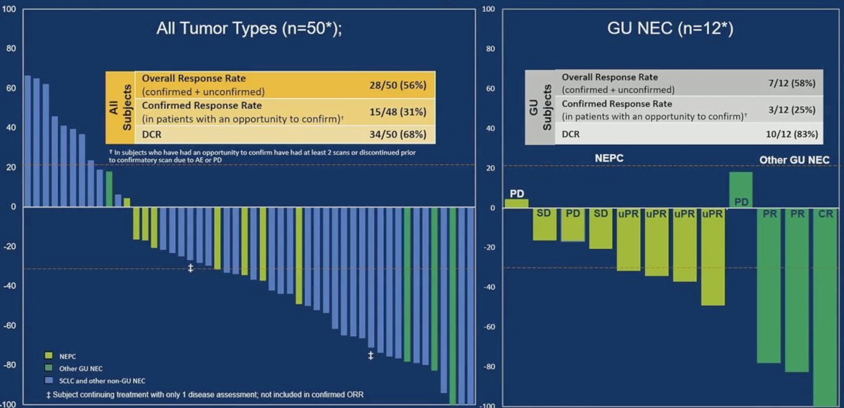 Among the 12 evaluable GU neuroendocrine cancer patients, the overall response rate was 58%, with a disease control rate of 83%