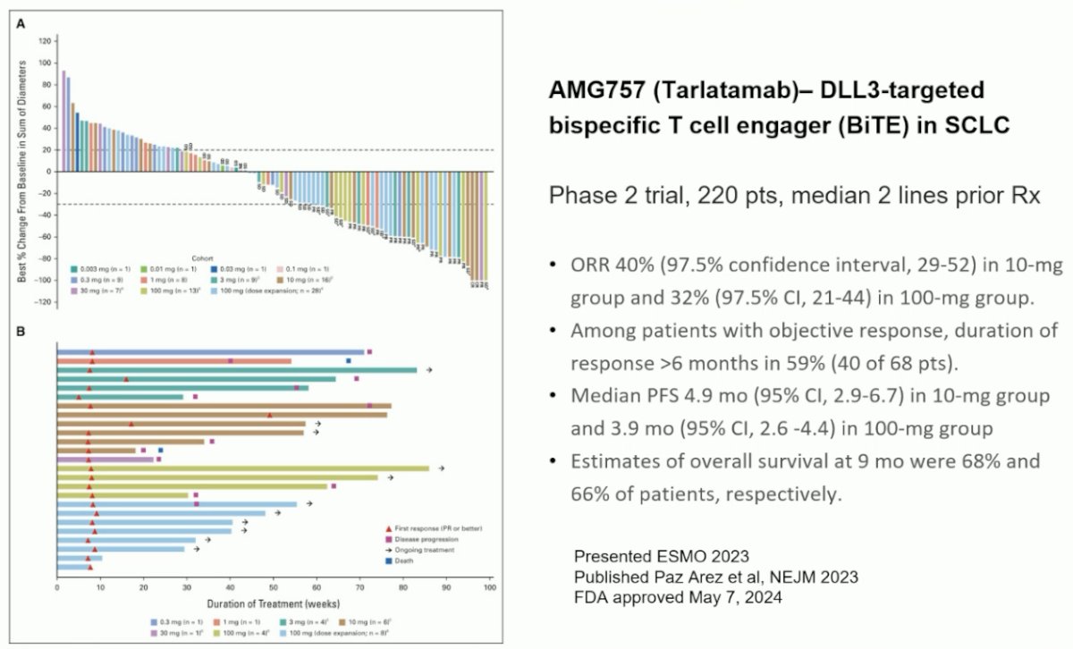 Tarlatamab is a DLL3 targeted, bi-specific T cell engager approved in May 2024 for previously treated small cell lung cancer patients 2