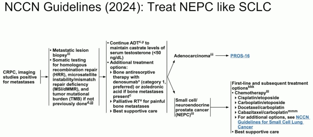  NCCN guidelines recommend platinum-based chemotherapy combinations for the treatment of small cell/neuroendocrine prostate cancer.