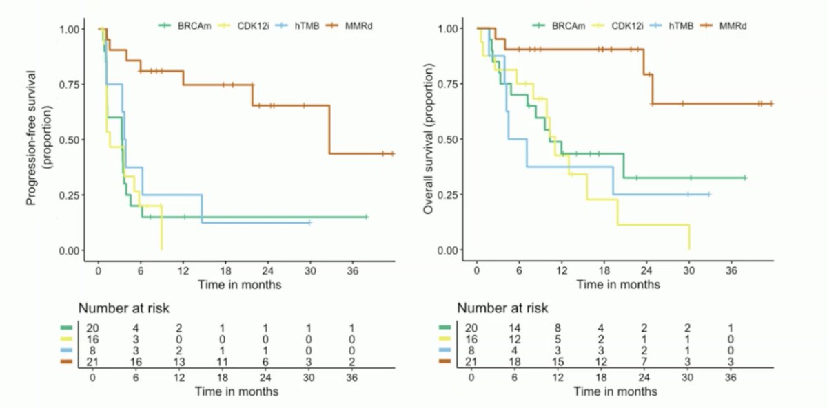 Kaplan Meier curves for progression free and overall survival INSPIRE