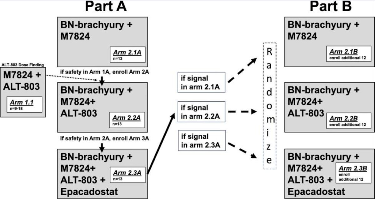 Patients with either non-metastatic (nmCRPC) or metastatic CRPC (mCRPC) who had a rising PSA (>1 ng/mL) and did not require narcotics regularly for prostate cancer-related pain were enrolled into Arms 2.2A and 2.2B