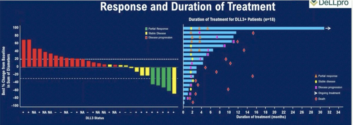  only 56% of patients were DLL3+, and DLL3+ positivity was defined as ≥1% DLL3 tumor positivity by immunohistochemistry. As such, she argued that this may not be the ‘prime’ cohort of patients to benefit from such treatment