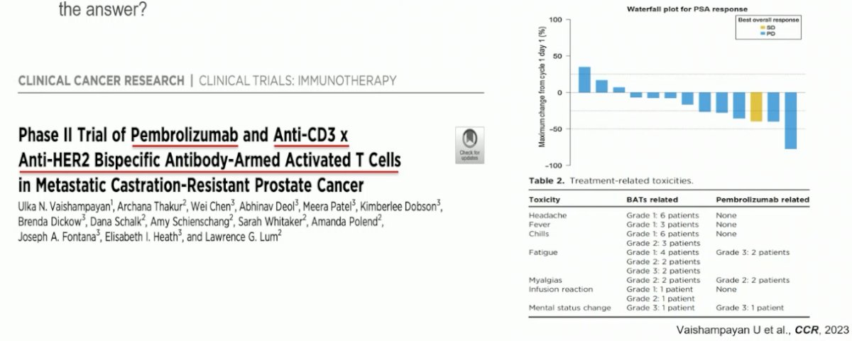 improving the efficacy of T cell engagers by combining them with other agents?