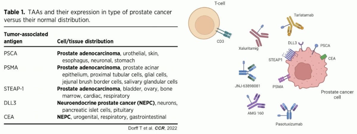 numerous tumor antigens that can be potentially targeted by T cell engagers