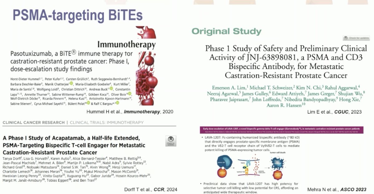 PSMA-targeting bi-specific T-cell engagers include pasotuxizumab, JNJ-63898081, acapatamab (AMG 160), and LAVA-1207