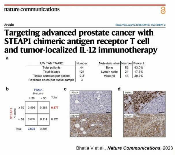 STEAP1 staining was detected in 88% of evaluable matched mCRPC tissues