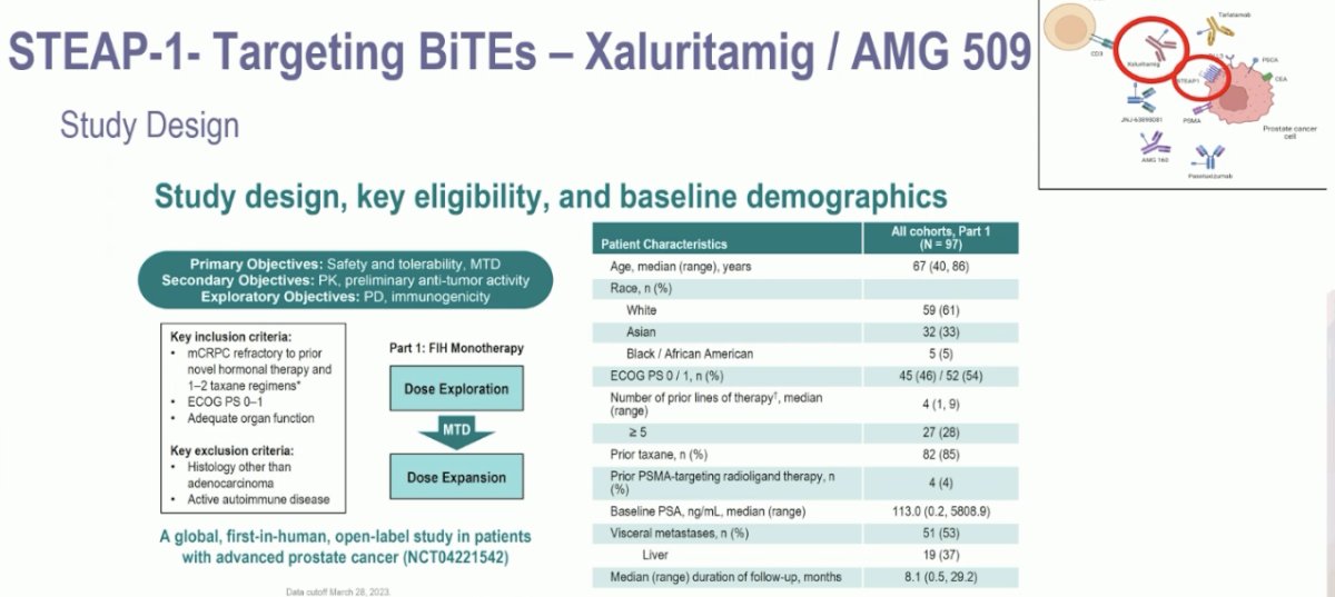 STEAP-1 targeting bi-specific T cell engager, Xaluritamig (AMG 509), was evaluated in heavily pre-treated mCRPC patients who had progressed on a prior androgen receptor pathway inhibitor (ARPI) and a taxane. 53% had visceral metastases, including 37% with liver metastases