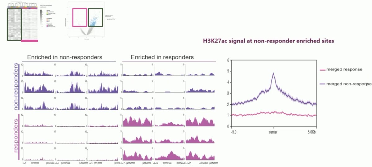 H3K27ac 2