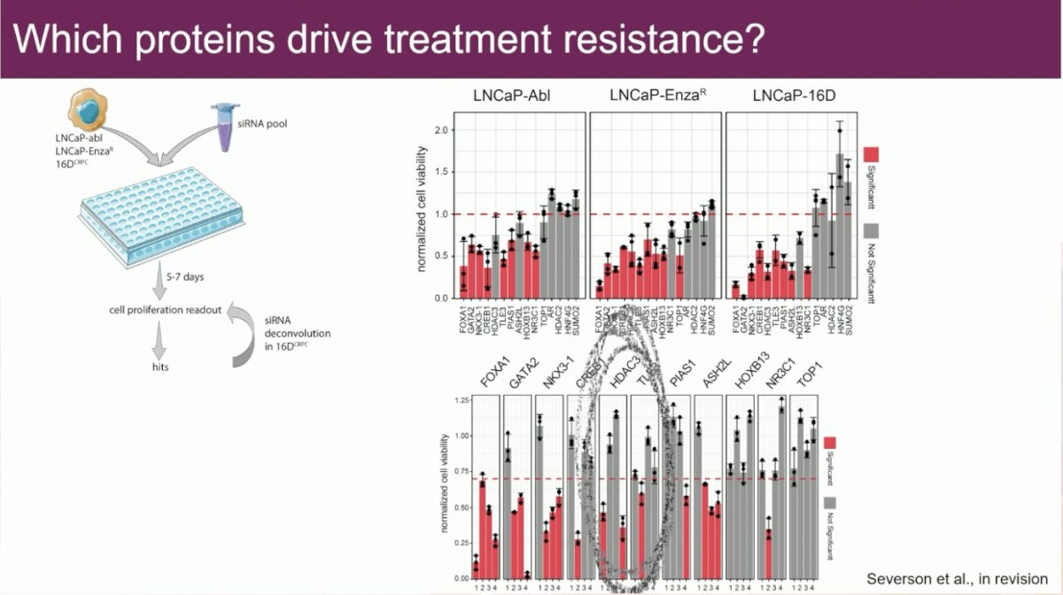 a functional proteination experiment performing knockdowns of each of these proteins in castrate-resistant cells to assess whether this would have an impact. As seen in red below, knockdown of each these proteins had an impact on cellular proliferation.