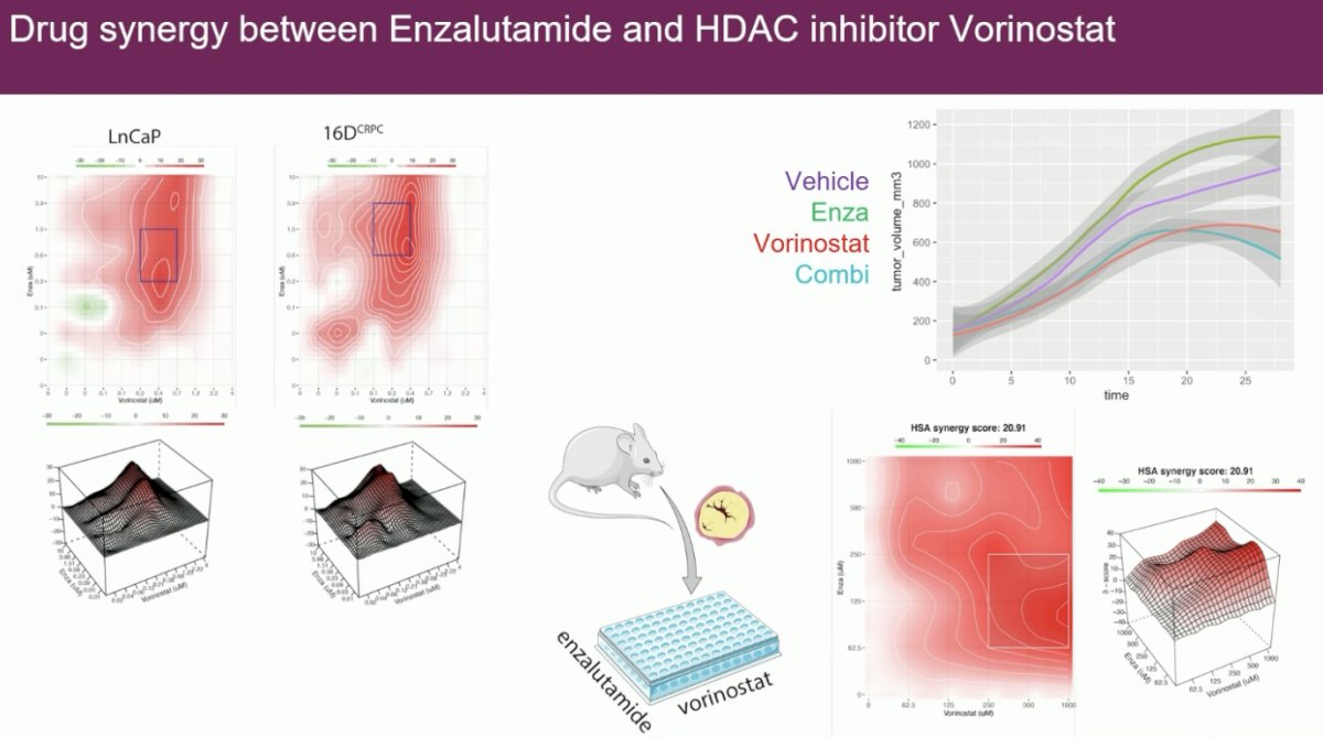 One of these targetable proteins is HDAC3. Promisingly, there appears to be drug synergy between enzalutamide and the HDAC inhibitor, vorinostat.   