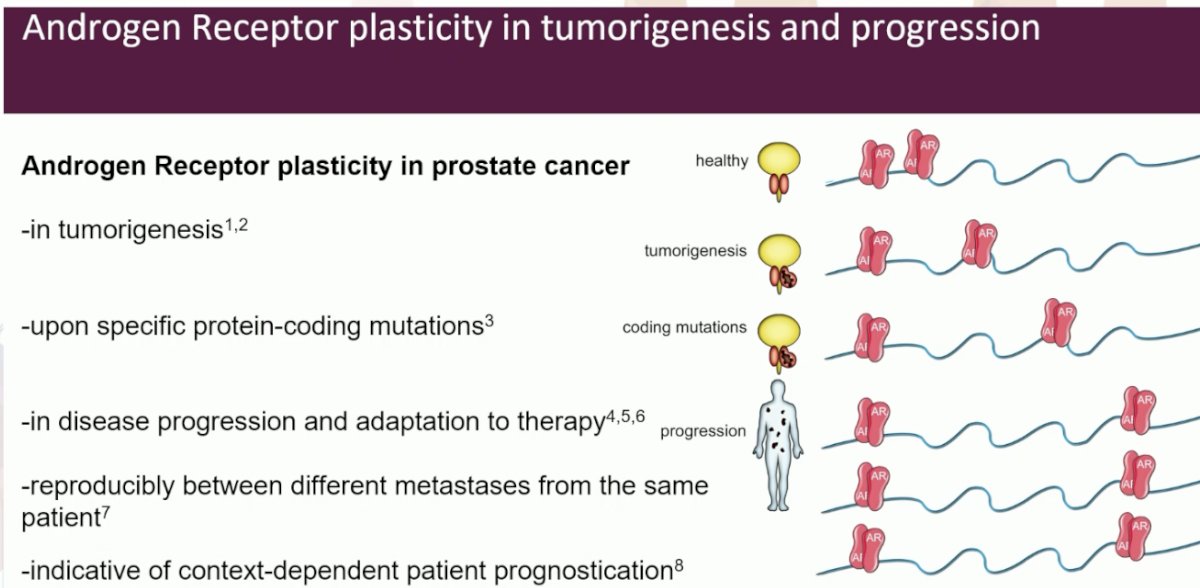 Androgen receptor DNA binding is heavily re-programmed in tumorigenesis, moves to new locations upon specific protein-coding mutations, and evolves during disease progression and adaptation to therapy