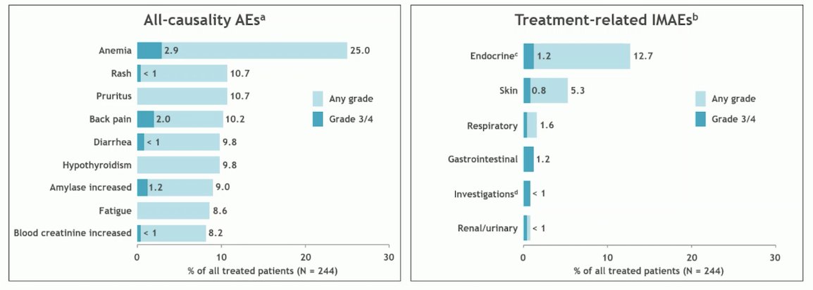 Overall, adverse events were reported in 91% of patients during the Nivolumab monotherapy phase. The most common adverse event was anemia. Treatment-related immunotherapy adverse events were more commonly endocrine-related (12.7%), with Grade 3/4 events occurring in 1.2% of patients.