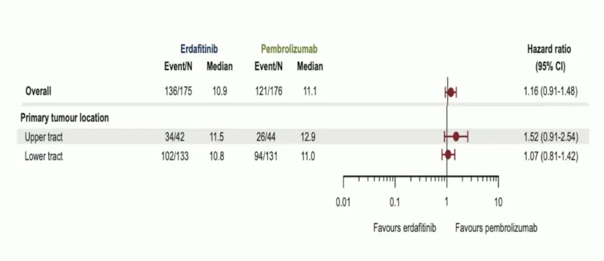 response to erdafitinib has been poor, with these tumors having better response with pembrolizumab