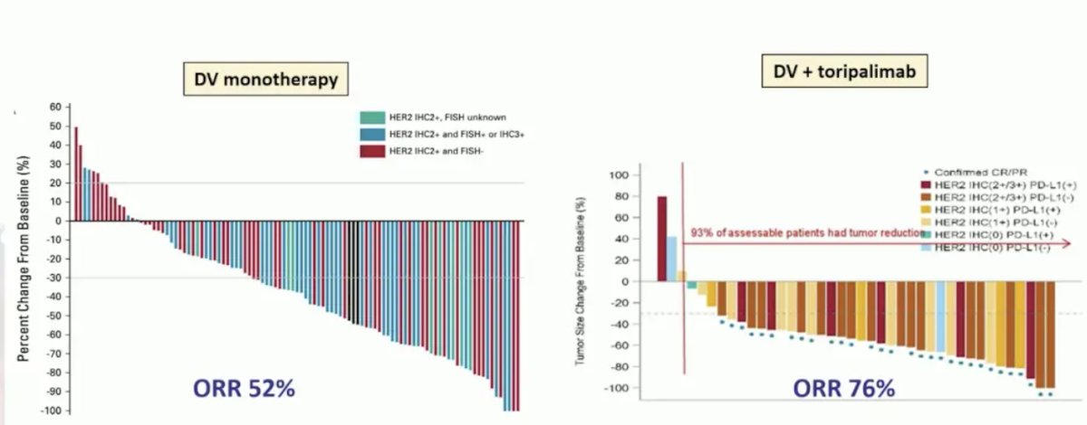 52% objective response rate as a monotherapy, and a 76% objective response rate when combined with toripalimab