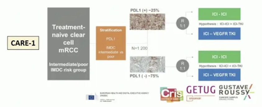 utilization of PD-L1 in a clinical trial design is being further evaluated in the CARE-1 trial