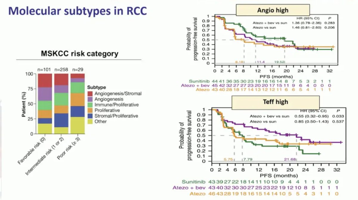 Molecular subtypes in RCC have shown some benefit, mainly angiogenesis high and Teff high signatures