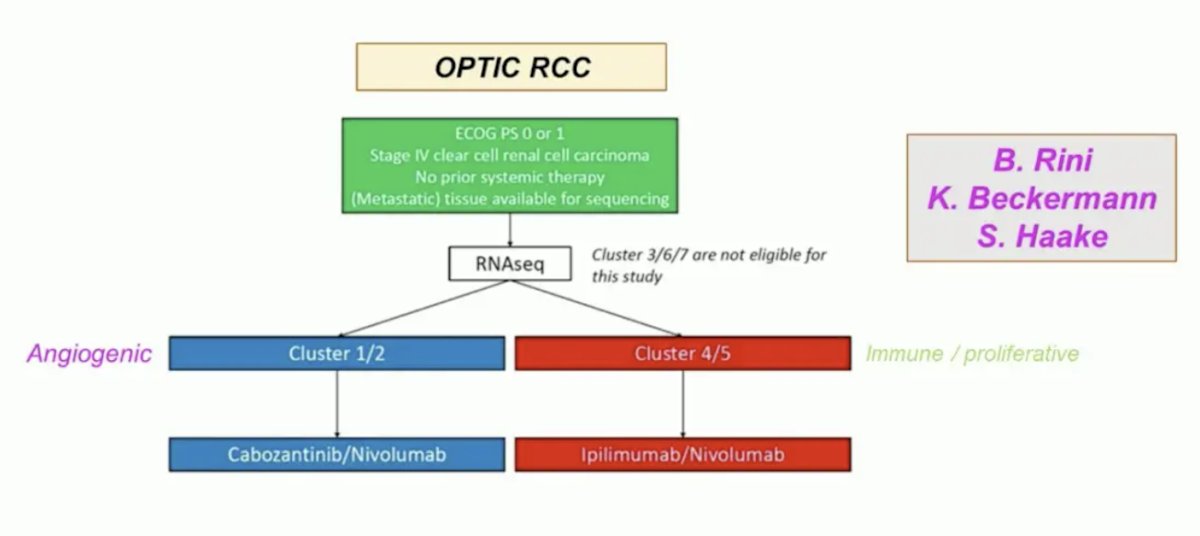 molecular subtypes will be prospectively evaluated in the OPTIC RCC trial