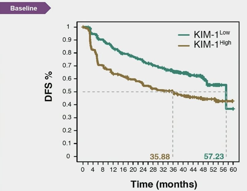 high baseline and on treatment circulating KIM-1 is associated with worse outcomes in patients with RCC based on analysis of the IMmotion010 trial