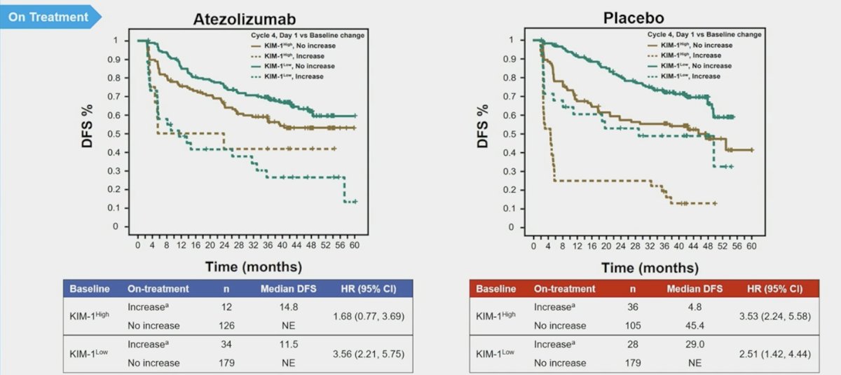 A ≥30% KIM-1 increase was associated with worse disease-free survival in both KIM1–high (atezolizumab HR 1.68, 95% CI 0.77, 3.69; placebo HR 3.53, 95% CI 2.24, 5.58) and KIM-1–low (atezolizumab HR 3.56, 95% CI 2.21, 5.75; placebo HR 3.22, 95% CI 1.81, 5.70) subgroups