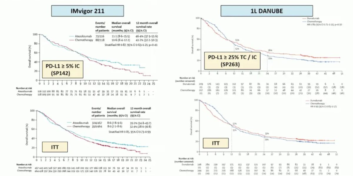 outcomes in PD-L1 positive patients when assessed in IMvigor211 and the first line DANUBE trials