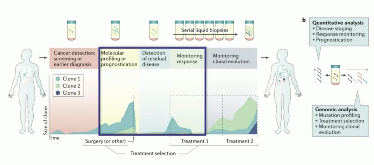 ctDNA applications