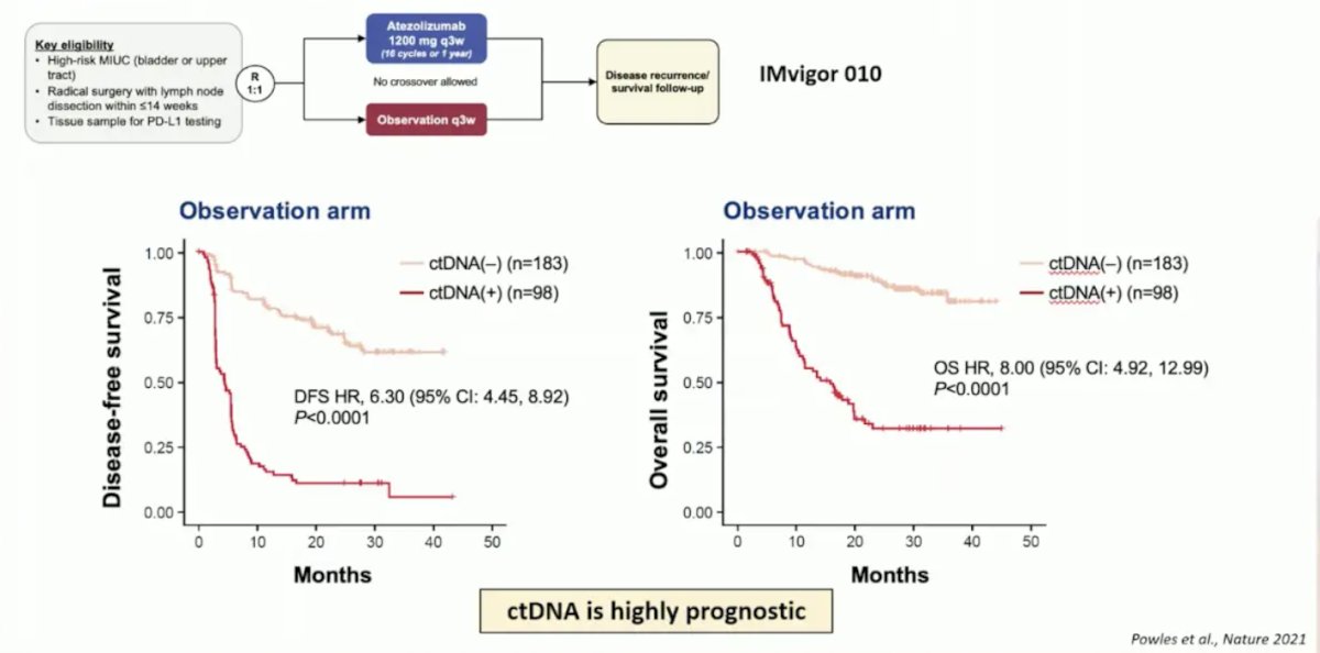 ctDNA is very prognostic in the adjuvant setting for muscle invasive bladder cancer, particularly in the observation arm for assessing disease free and overall survival