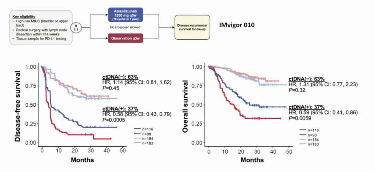 ctDNA was prognostic for assessing minimal residual disease and correlating with disease free and overall survival