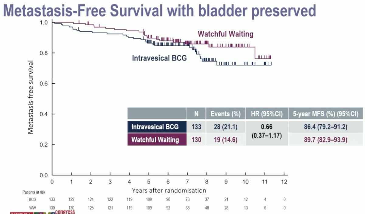 JCOG1019 metastasis free survival