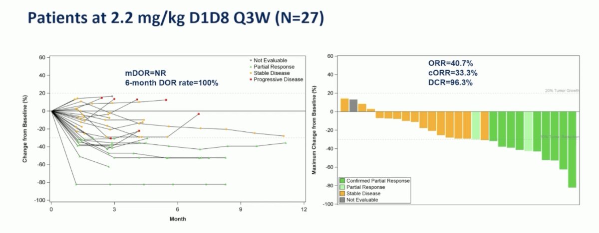 For patients treated at the 2.2 mg/kg dose, the 6 month duration of response rate was 100%