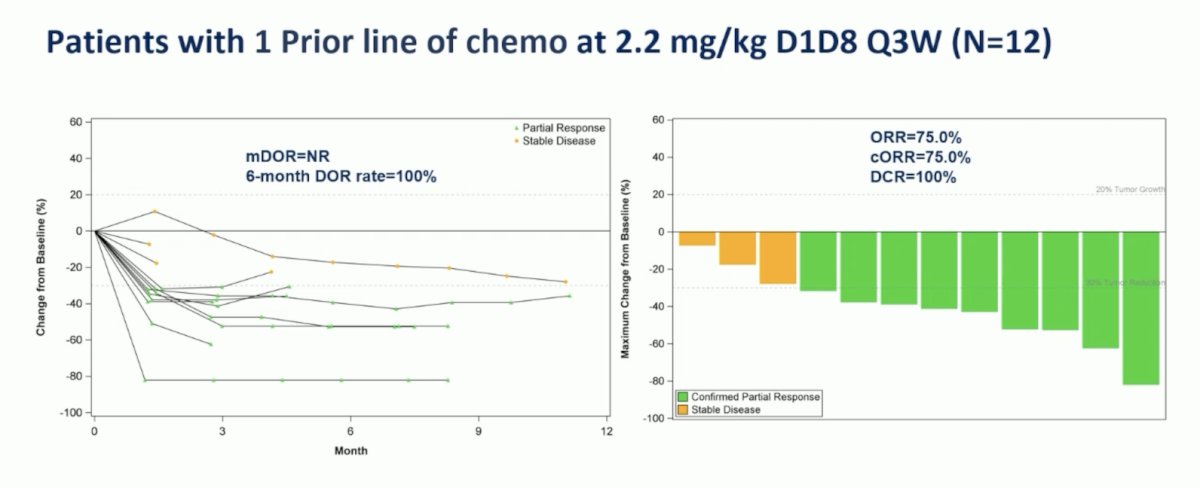 For patients treated at the 2.2 mg/kg dose with one prior line of chemotherapy, the 6 month duration of response rate was also 100%