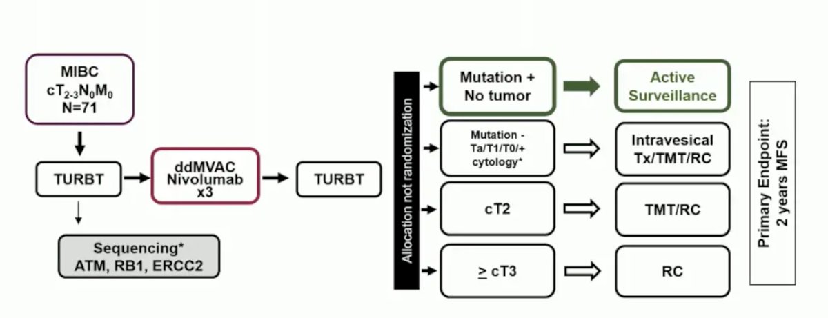 RETAIN 2 trial design