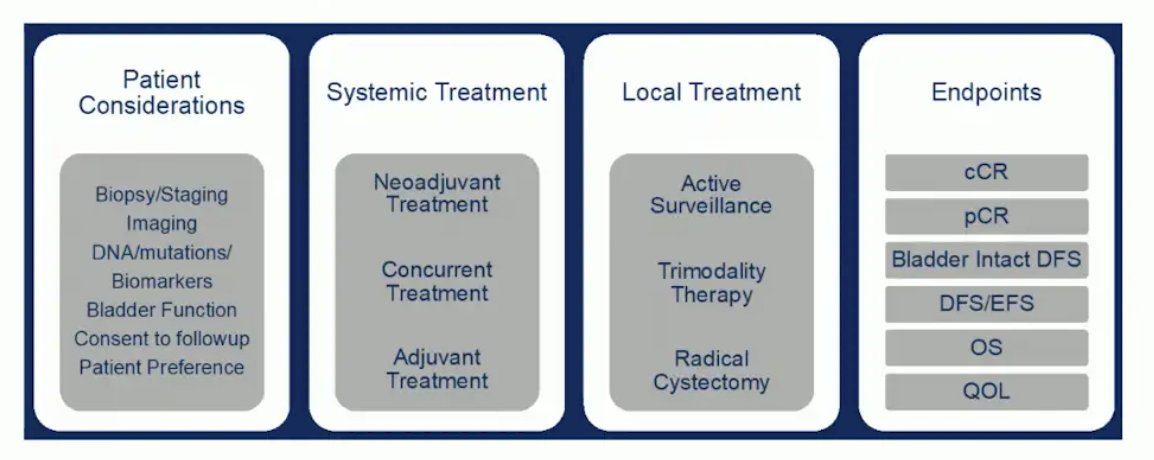 bladder sparing trial design considerations, taking into account patient considerations, systemic treatment, local treatment, and endpoints