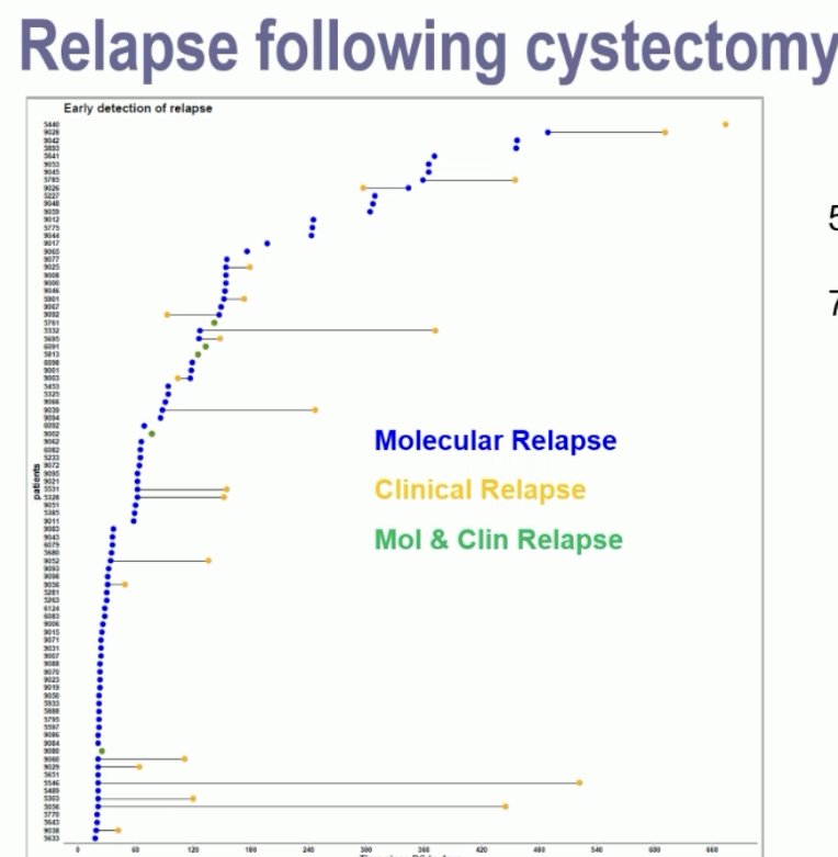 56% of patients were ctDNA+ post-radical cystectomy. 75% were detected <4 months post-cystectomy. Of the ctDNA- patients, only 2 (3%) developed metastases on CT scan during follow-up