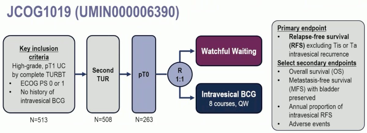 JCOG1019 is a phase III trial of patients with BCG-naïve, high-grade T1 urothelial carcinoma of the bladder following a complete TURBT