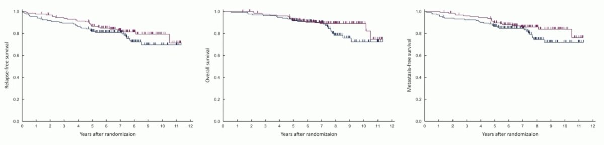 The 5-year recurrence-free survival rates were 87% and 82% for watchful waiting and intravesical BCG, respectively. Similarly, there were no differences in overall survival or metastasis-free survival between the two arms