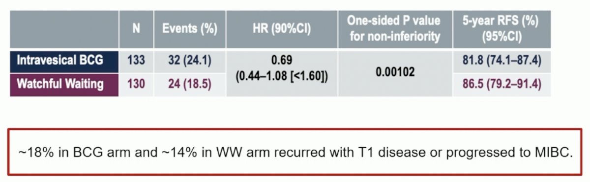 ~18% of patients in the BCG arm and ~14% in the watchful waiting arm recurred with T1 disease or progressed to MIBC, which is slightly higher than expected with adjuvant BCG.