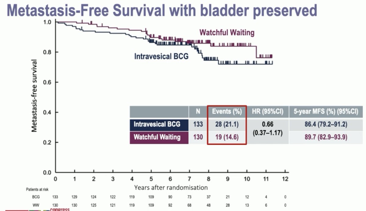 While there was no difference in metastasis-free survival between the two arms, the number of metastatic events in each arm was higher than would be expected for this population (15% and 21%).