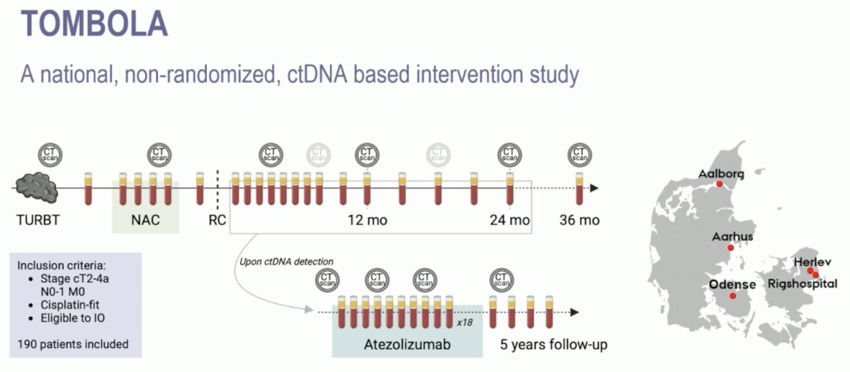 TOMBOLA was a national, non-randomized ctDNA-based intervention study conducted at 5 centers in Denmark. Eligible patients were those with cT2-4aN0-1M0, cisplatin and immunotherapy-eligible MIBC who underwent NAC followed by radical cystectomy