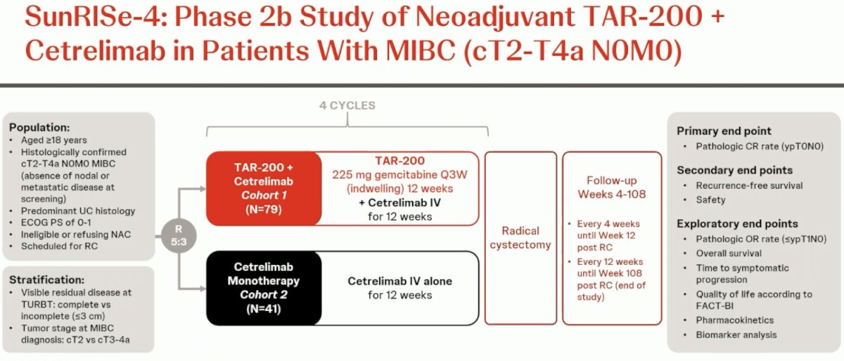 SunRISe-4 (NCT04919512), this is an ongoing randomized phase II study assessing the efficacy and safety of neoadjuvant TAR-200 + cetrelimab or cetrelimab monotherapy in patients with MIBC scheduled for radical cystectomy and who are ineligible for or refuse NAC