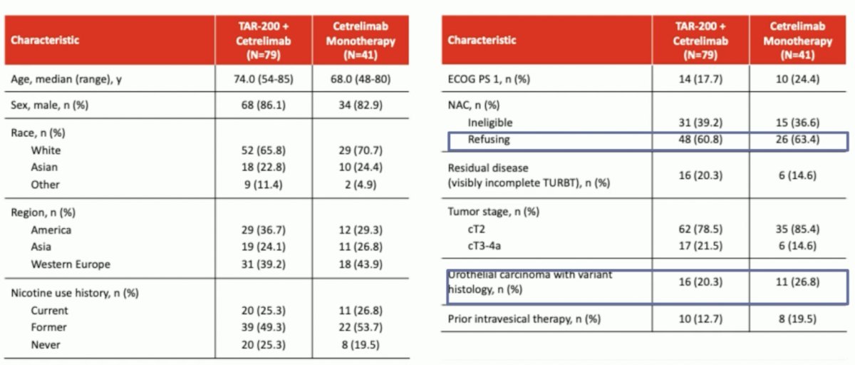 only five patients in the entire cohort progressed (1.3% in cohort 1 of combination TAR-200 + cetrelimab and 9.5% in Cohort 2 of cetrelimab monotherapy). From a patient characteristics standpoint, ~60% of patients were NAC refusing and 20–27% had tumors with variant histology