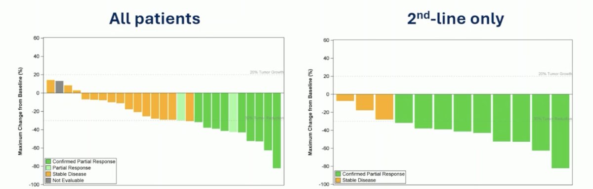 Activity appeared to be higher in the second line population, but with a limited sample size