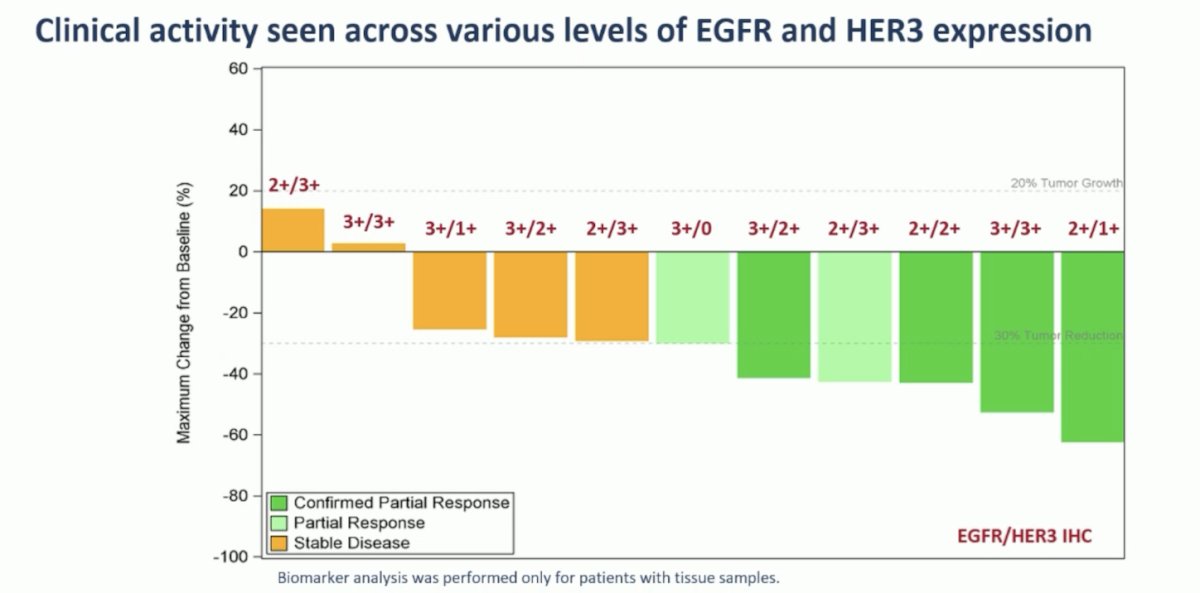 no clear relationship between EGFR and HER3 expression and antitumor activity, with responses seen across EGFR and HER 3 expression