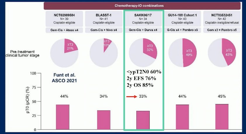 pT2N0 response in 60% of patients, a 24-month event-free survival rate of 76%, and 85% of participants were alive. The pathological complete response (pCR) rate was 33%