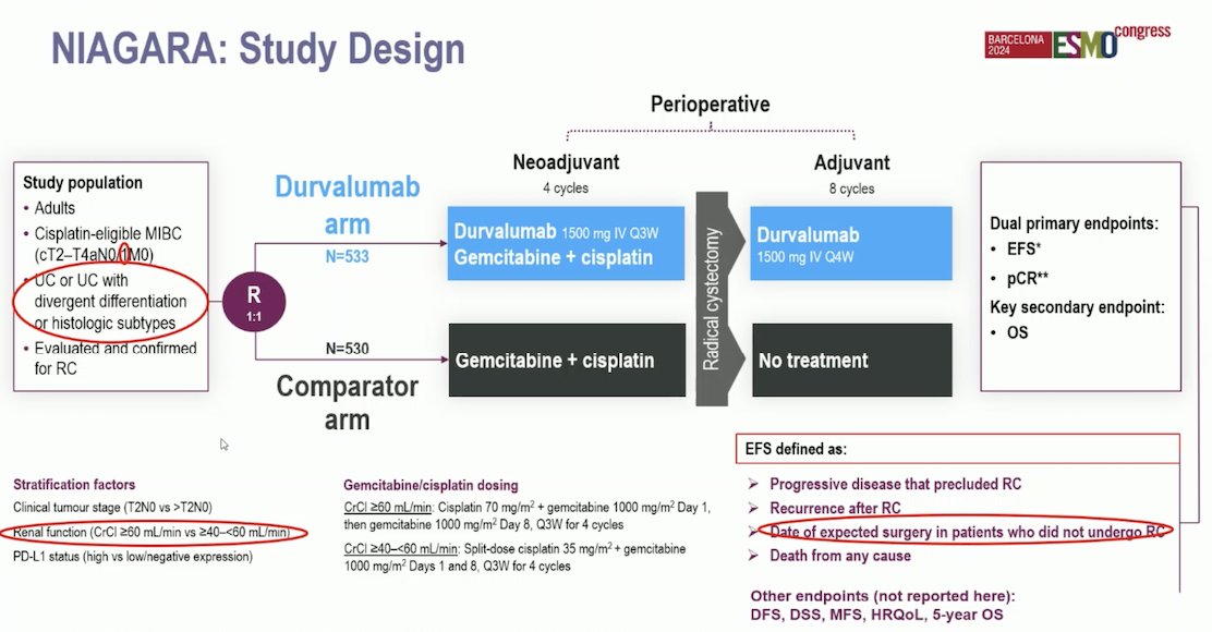 NIAGARA study design