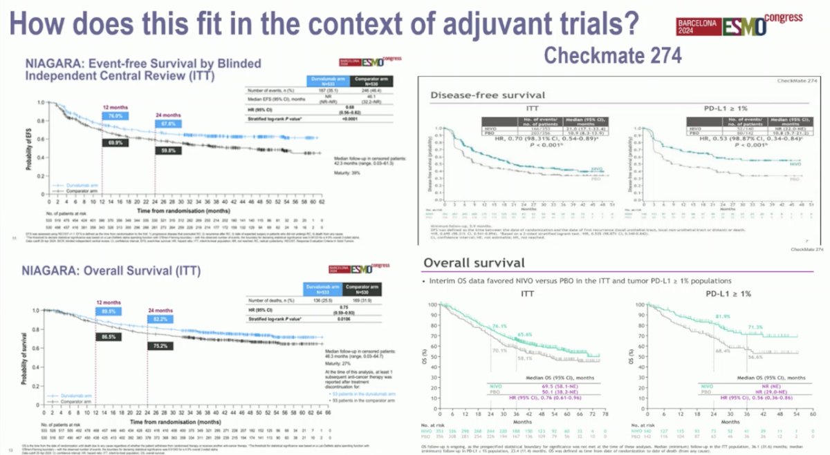 How does NIAGARA fit in the context of adjuvant trials