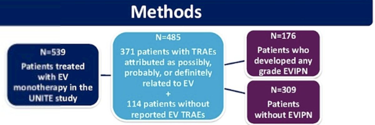 A directed acyclic graph (DAG) was constructed to define causal relationships among clinical variables affecting the development of EV-associated peripheral neuropathy and to identify potential confounding factors