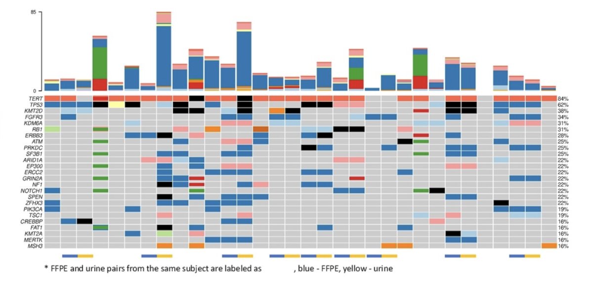 oncoplot summarized variant, CNV, and fusion findings in the baseline samples (FFPE and/or urine) tested with PredicineWES+